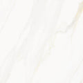 Venus Alpe AC 24x24 Textured Marble Look Porcelain Tile