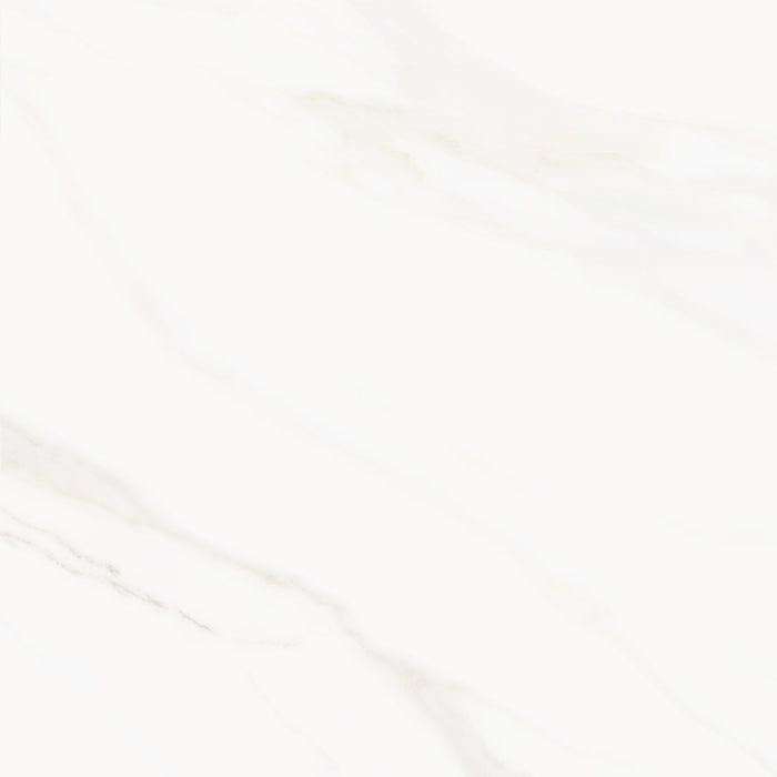 Venus Alpe AC 24x24 Textured Marble Look Porcelain Tile