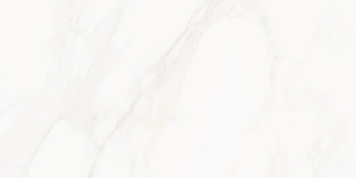 Venus Alpe Polished 12x24 Marble Look Porcelain Tile