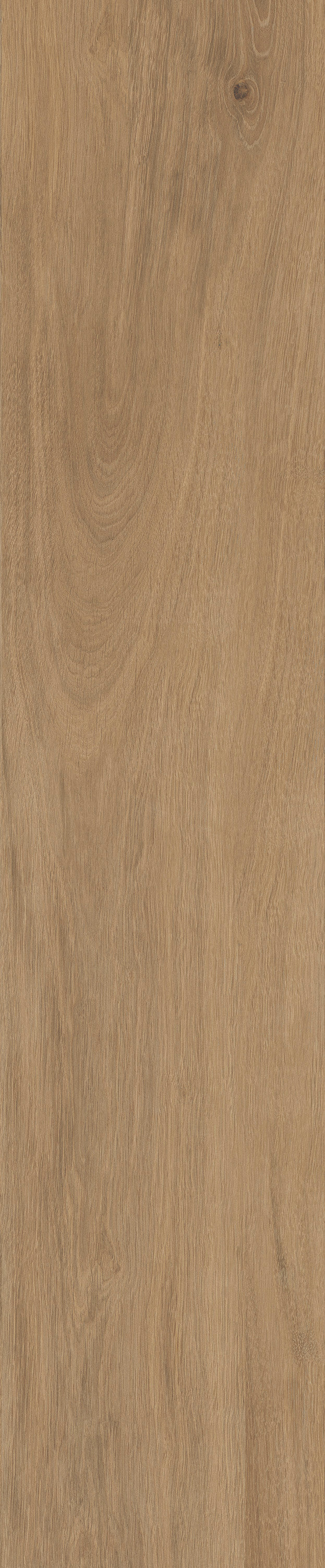 Wood Look Porcelain Plank Tile