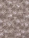 Viola - Gray