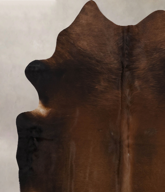 Brown with Red Cowhide Rug #B10301