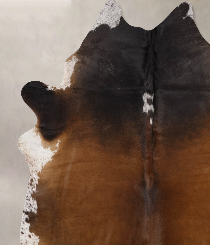 Brown with Red Cowhide Rug #B10539